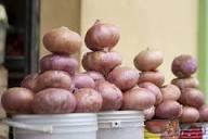 Basket of Fresh Onions