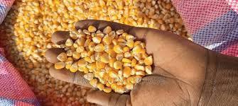 Yellow Corn Bag
