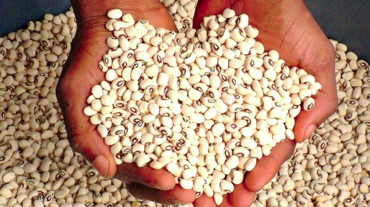 Bag of Beans
