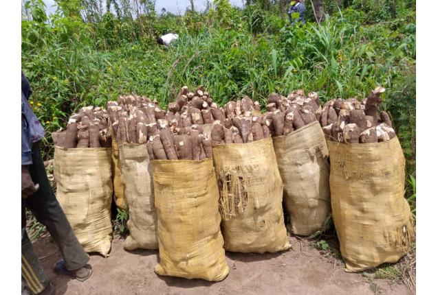 Bag of Cassava